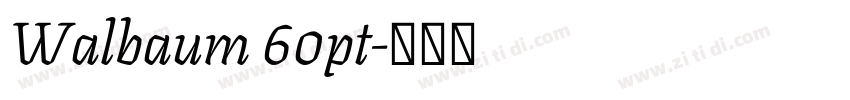 Walbaum 60pt字体转换